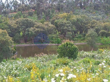 Terreno para Venda em Constancia