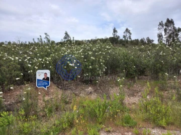 Terreno para Venda em Constancia