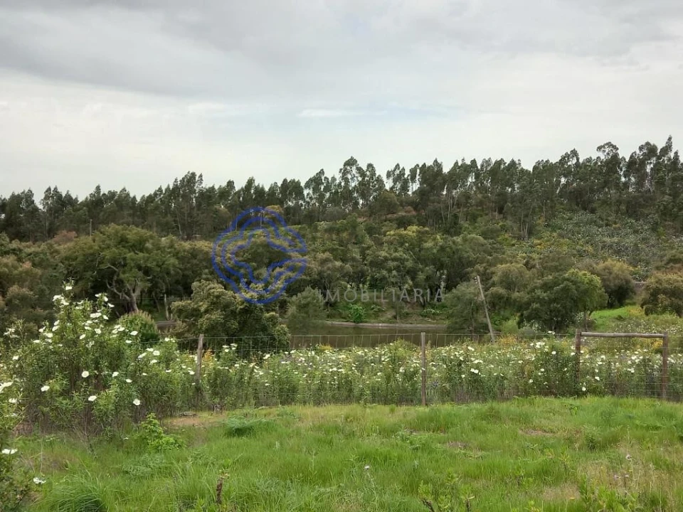 Terreno para Venda em Constancia Foto 11