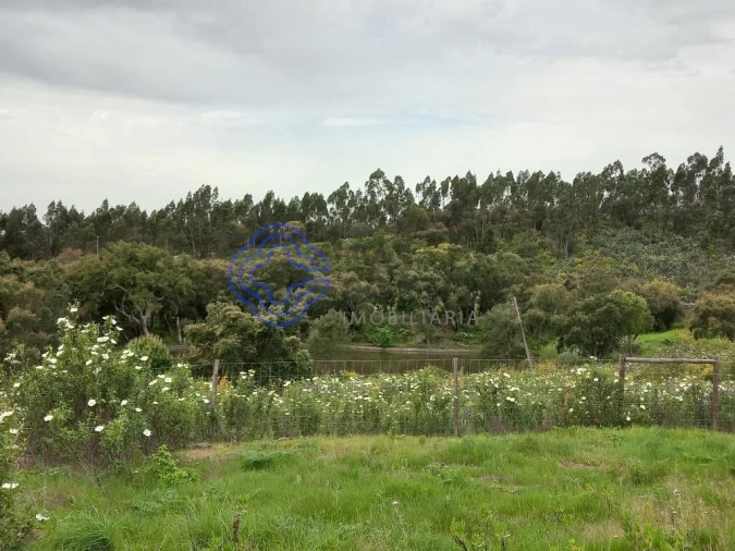 Terreno para Venda em Constancia Foto 11