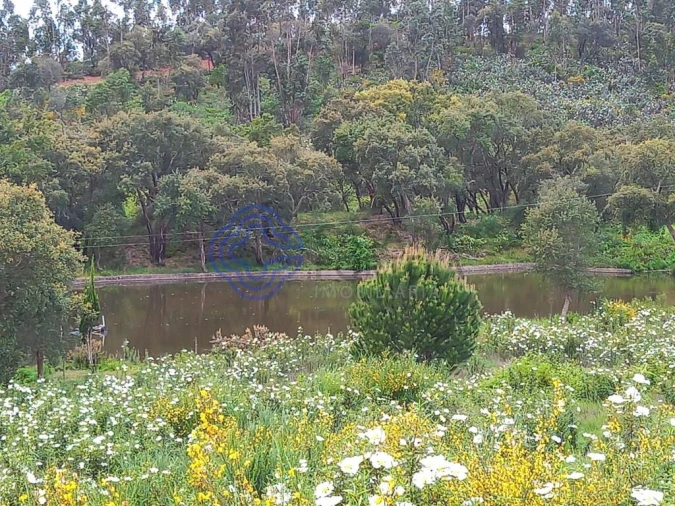 Terreno para Venda em Constancia Foto 10