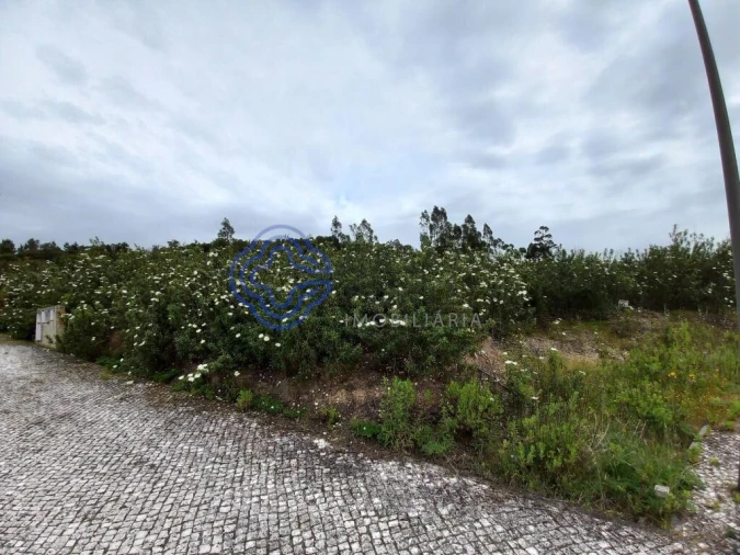 Terreno para Venda em Constancia Foto 8