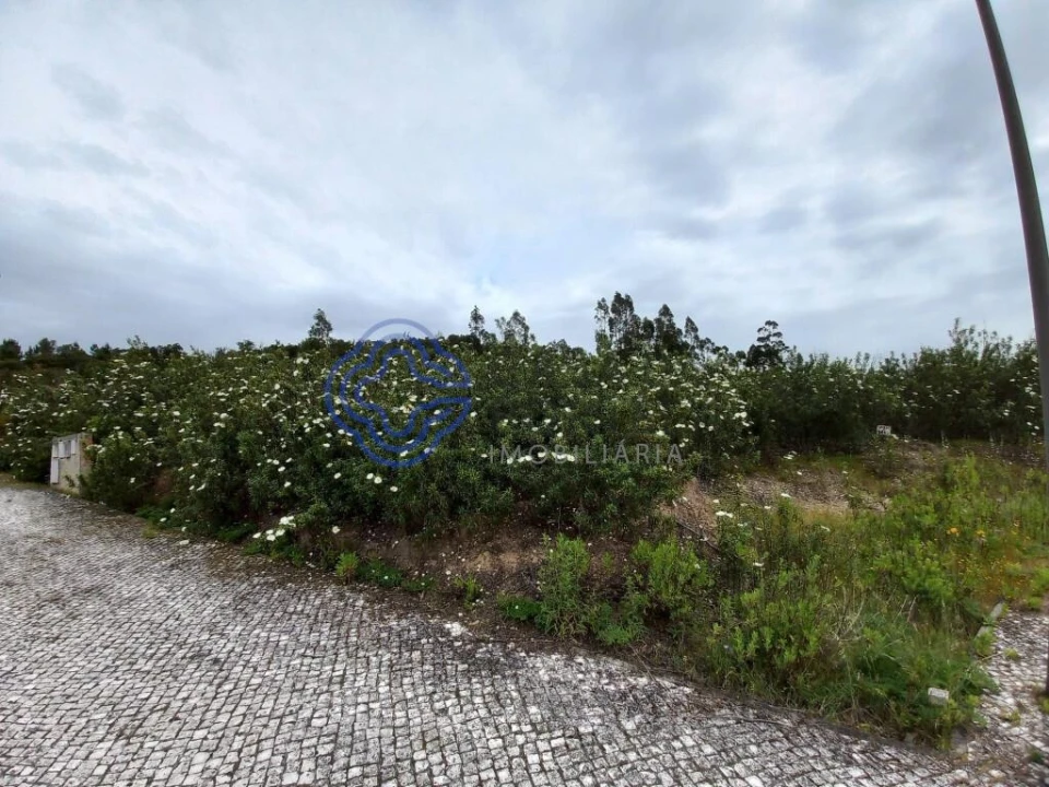 Terreno para Venda em Constancia Foto 8