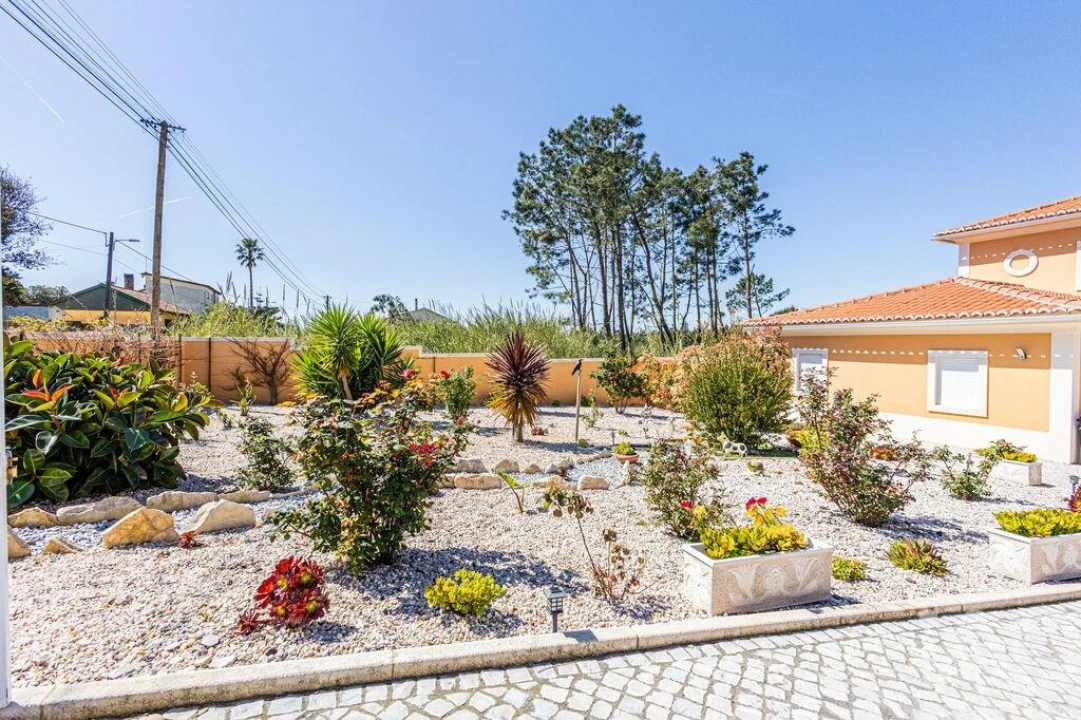 Moradia T4 para Venda em Nadadouro Foto 4