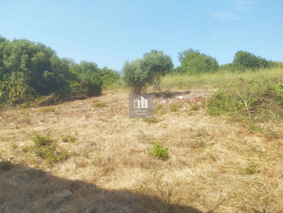 Terreno para Venda em Caparica e Trafaria Foto 19