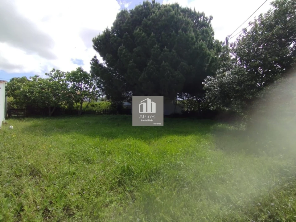 Terreno para Venda em Caparica e Trafaria Foto 23