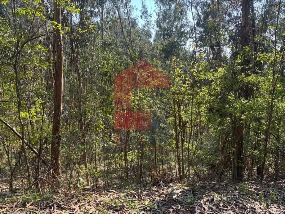 Terreno para Venda em Sande, Vilarinho, Barros e Gomide Foto 10