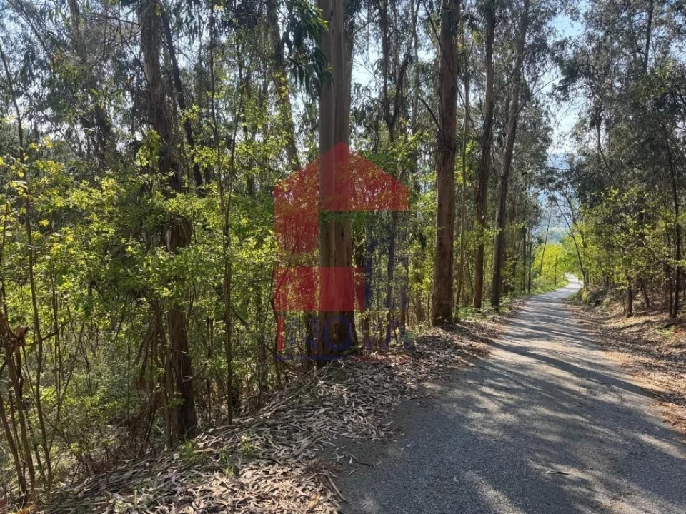 Terreno para Venda em Sande, Vilarinho, Barros e Gomide Foto 19