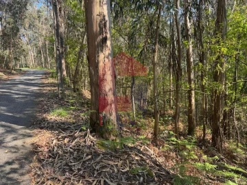 Terreno para Venda em Sande, Vilarinho, Barros e Gomide