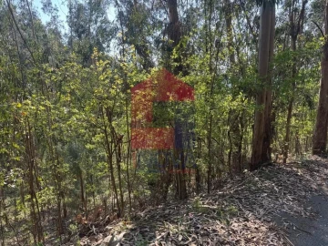 Terreno para Venda em Sande, Vilarinho, Barros e Gomide