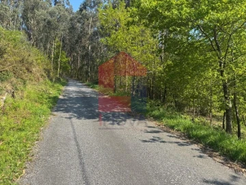 Terreno para Venda em Sande, Vilarinho, Barros e Gomide