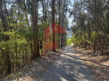 Terreno para Venda em Sande, Vilarinho, Barros e Gomide