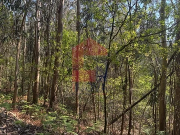 Terreno para Venda em Sande, Vilarinho, Barros e Gomide