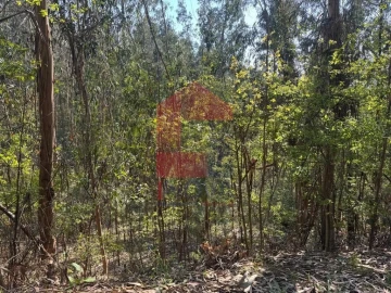 Terreno para Venda em Sande, Vilarinho, Barros e Gomide