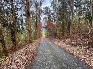 Terreno para Venda em Sande, Vilarinho, Barros e Gomide