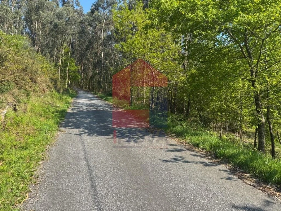Terreno para Venda em Sande, Vilarinho, Barros e Gomide Foto 16