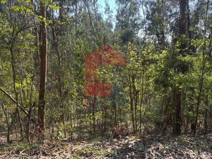 Terreno para Venda em Sande, Vilarinho, Barros e Gomide Foto 10