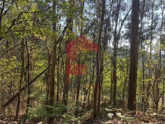 Terreno para Venda em Sande, Vilarinho, Barros e Gomide Foto 5