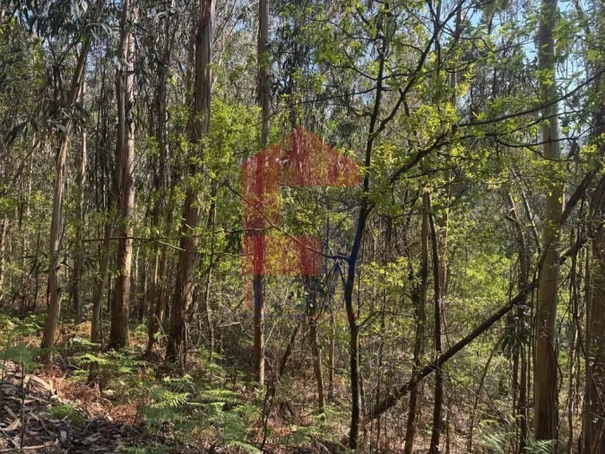 Terreno para Venda em Sande, Vilarinho, Barros e Gomide Foto 9