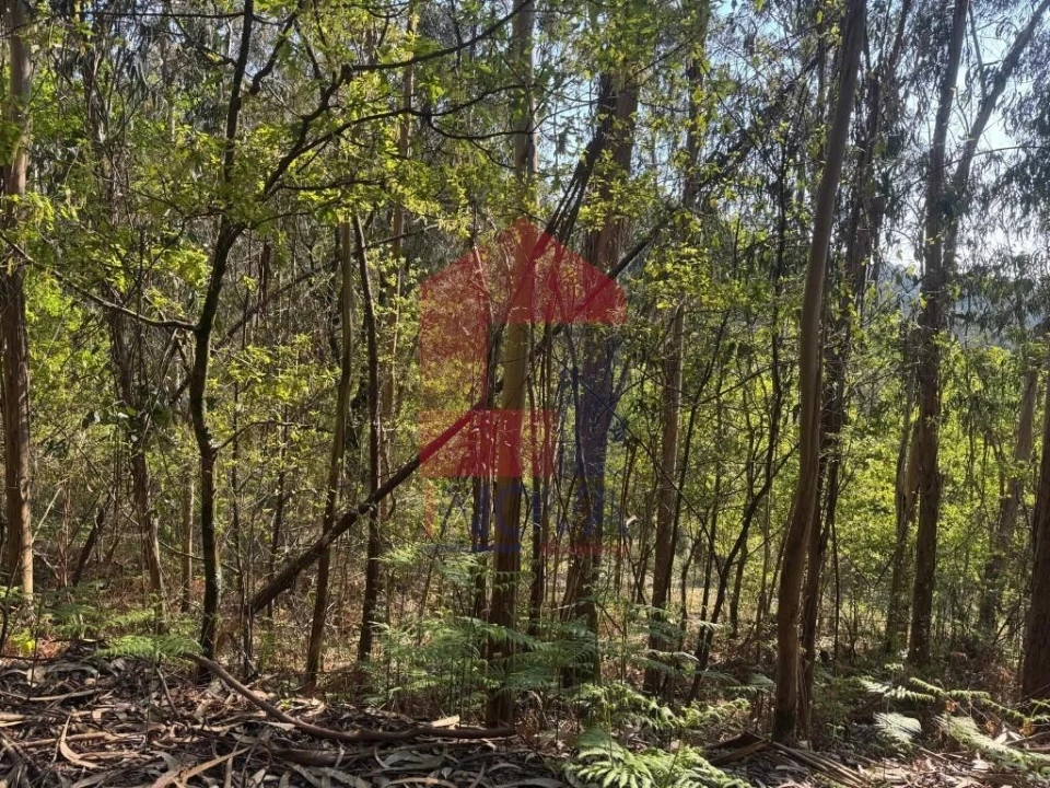 Terreno para Venda em Sande, Vilarinho, Barros e Gomide Foto 8