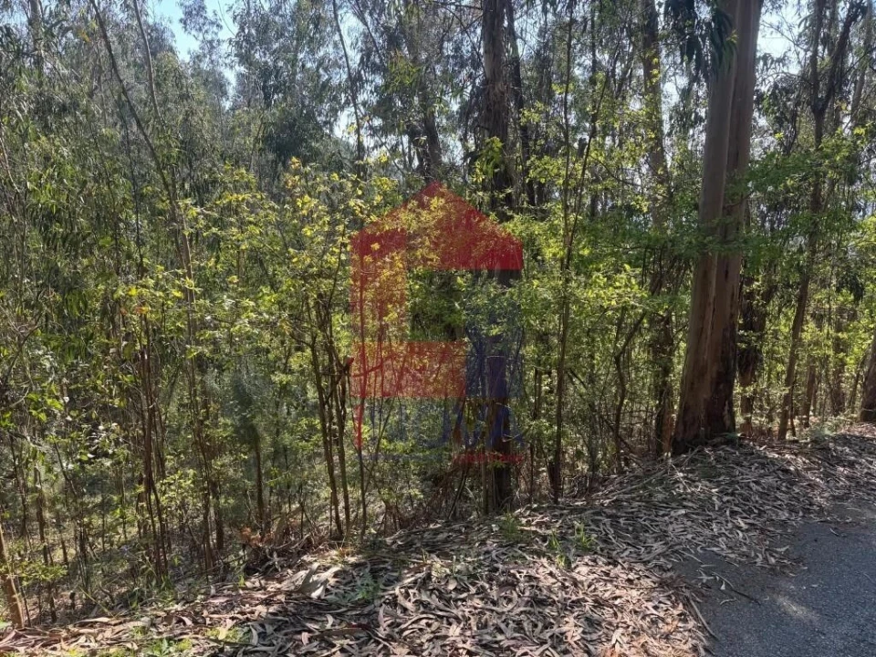 Terreno para Venda em Sande, Vilarinho, Barros e Gomide Foto 11