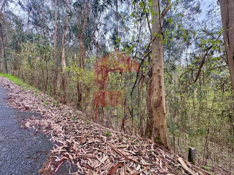 Terreno para Venda em Sande, Vilarinho, Barros e Gomide Foto 3