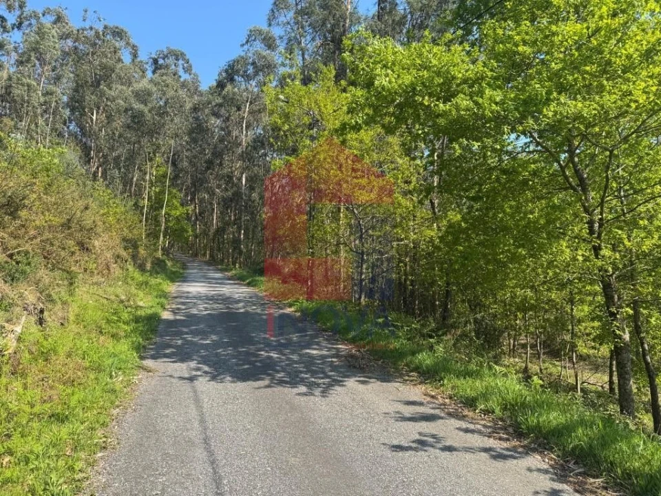 Terreno para Venda em Sande, Vilarinho, Barros e Gomide Foto 17