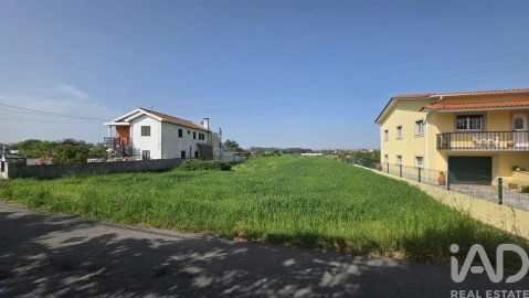 Terreno para Venda em Avanca