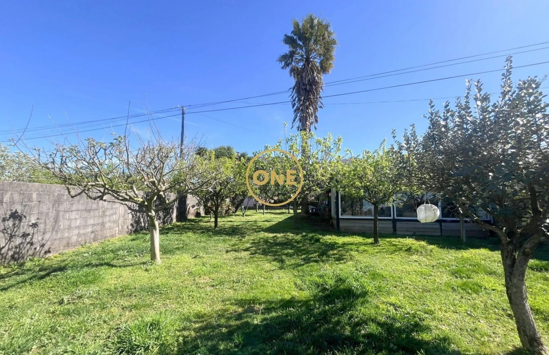 Negócio para Venda em Estela Foto 32