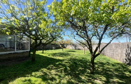 Negócio para Venda em Estela