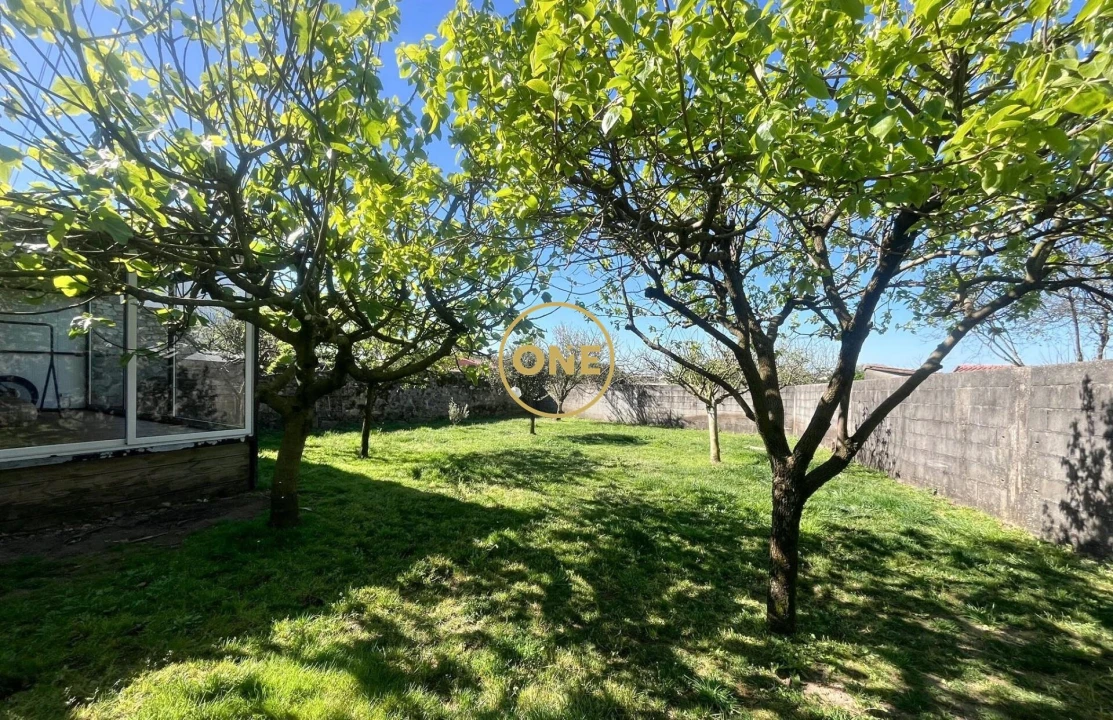 Negócio para Venda em Estela Foto 28