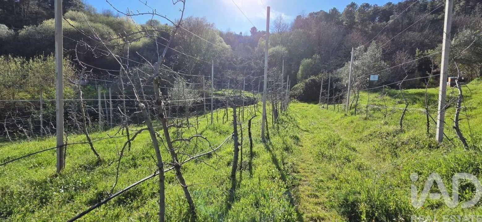 Quinta T2 para Venda em São Cosmado Foto 31