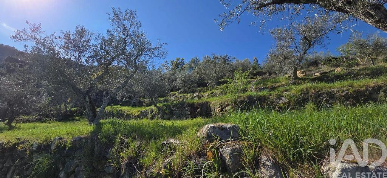 Quinta T2 para Venda em São Cosmado Foto 27