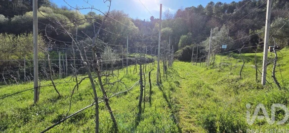 Quinta T2 para Venda em São Cosmado