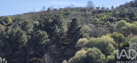 Quinta T2 para Venda em São Cosmado