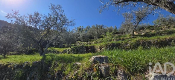 Quinta T2 para Venda em São Cosmado