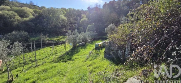 Quinta T2 para Venda em São Cosmado