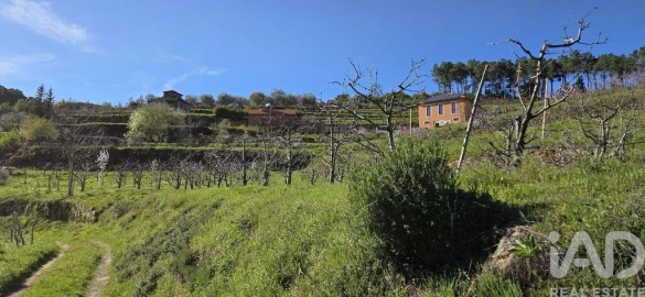 Quinta T2 para Venda em São Cosmado