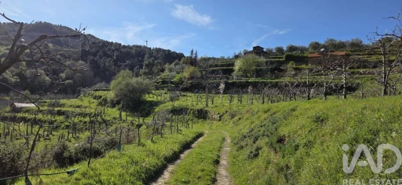 Quinta T2 para Venda em São Cosmado