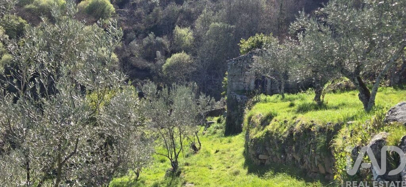Quinta T2 para Venda em São Cosmado Foto 34