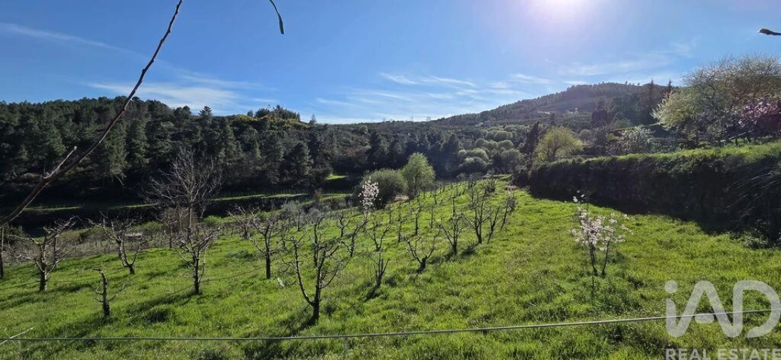 Quinta T2 para Venda em São Cosmado Foto 37