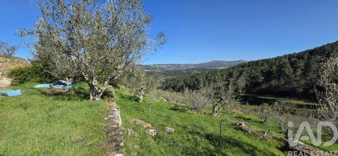 Quinta T2 para Venda em São Cosmado Foto 26