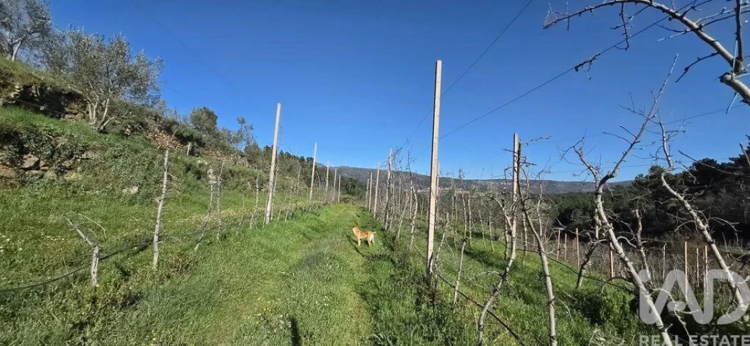 Quinta T2 para Venda em São Cosmado Foto 35