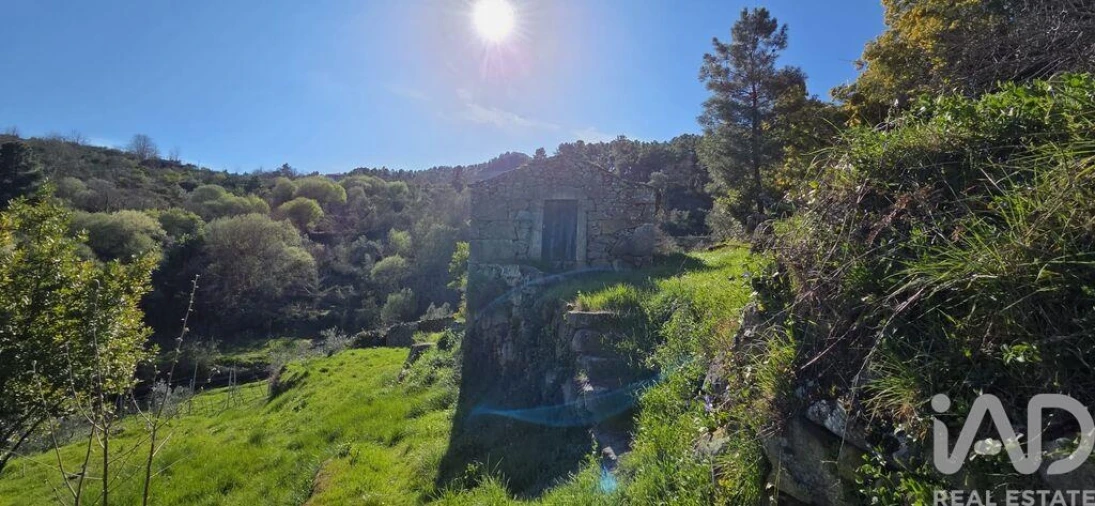 Quinta T2 para Venda em São Cosmado Foto 28