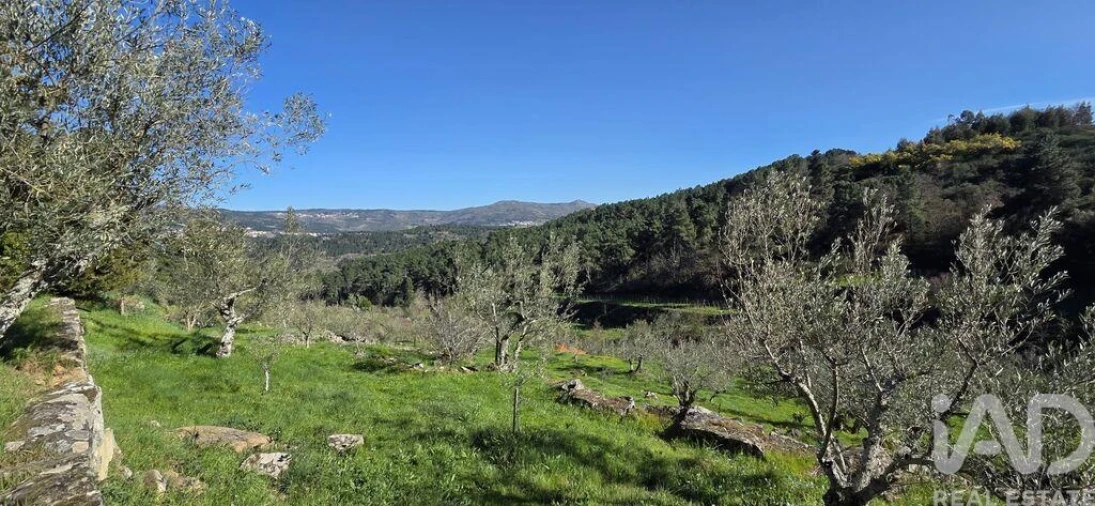 Quinta T2 para Venda em São Cosmado Foto 25