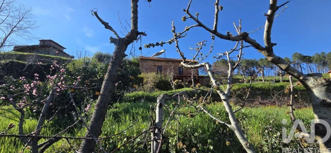 Quinta T2 para Venda em São Cosmado Foto 33