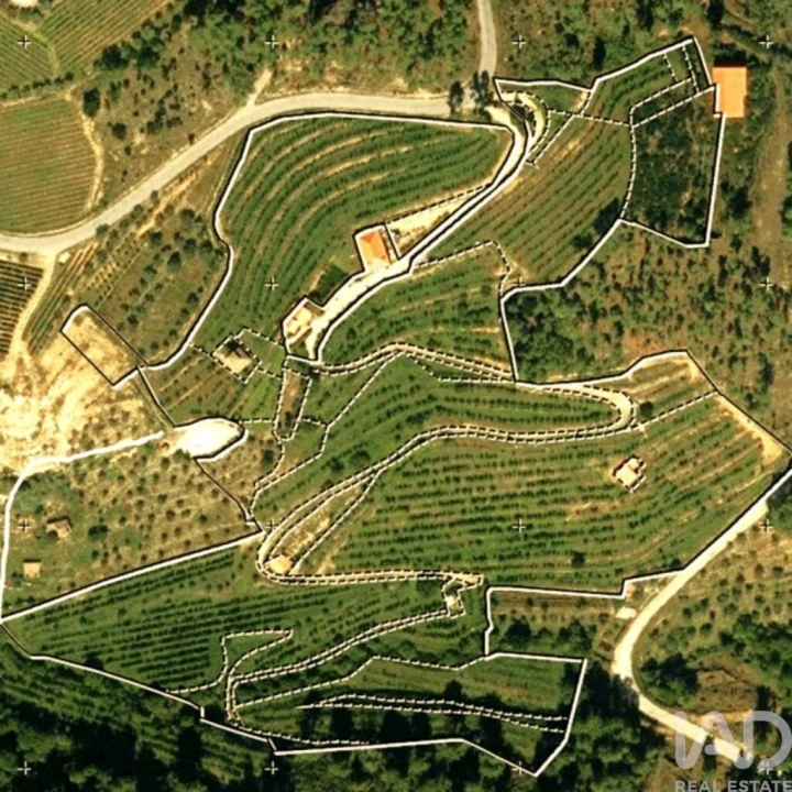 Quinta T2 para Venda em São Cosmado Foto 39