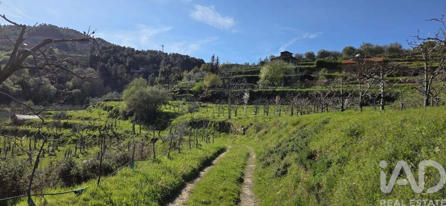Quinta T2 para Venda em São Cosmado Foto 32