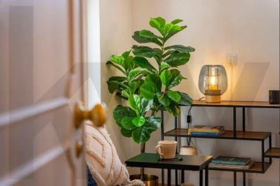 Apartamento para Venda em Avenidas Novas