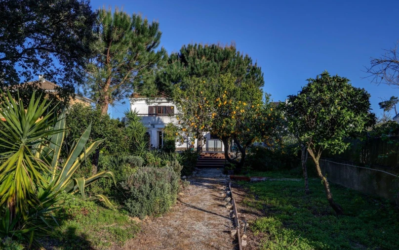 Moradia T4 para Venda em Sesimbra (Castelo) Foto 16